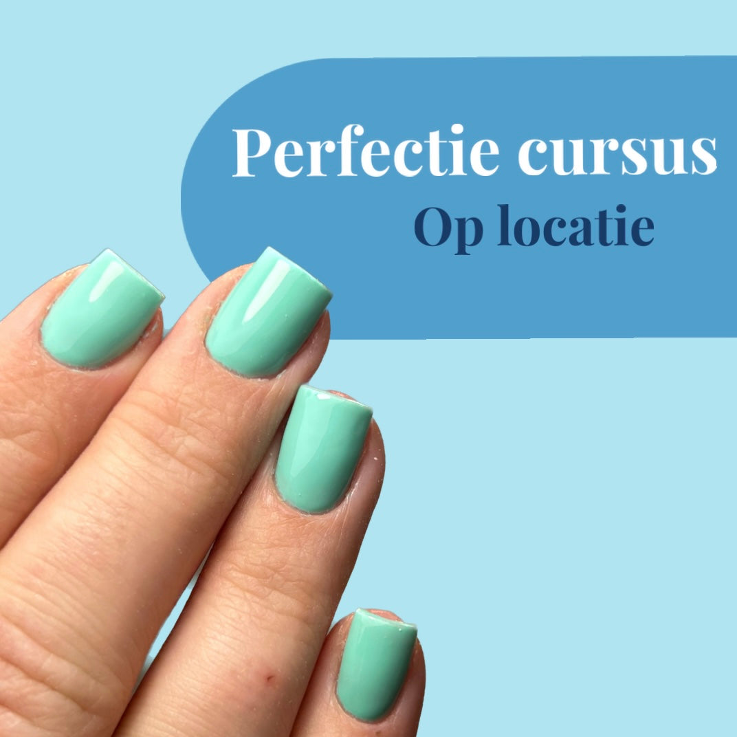 Perfectie Cursus